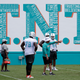 Image for article titled Dolphins Fire Offensive Line Coach Less Than One Full Week Into Training Camp